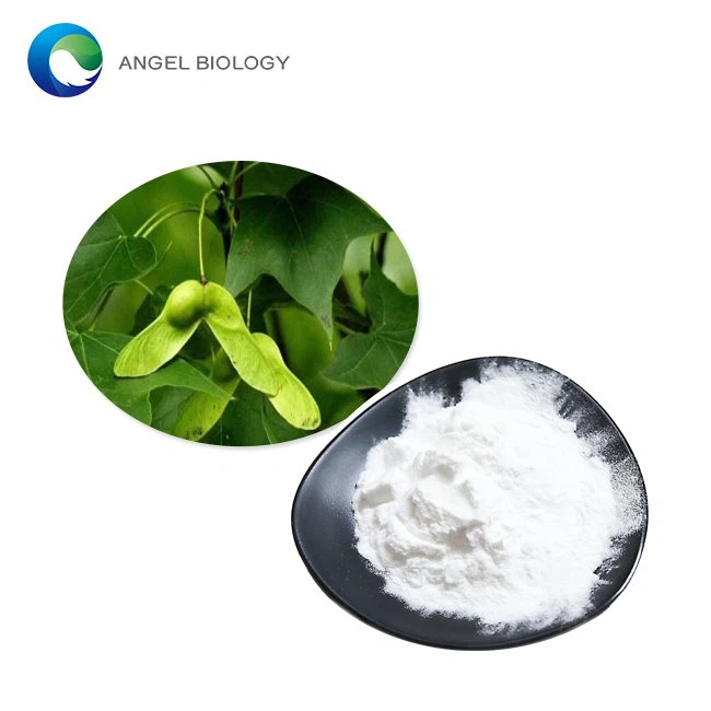 Acer Truncatum Extract